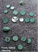 finds before cleaning lizabeth park.webp