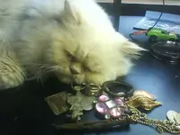 ATT00334.webp