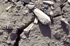 100_4605.webp