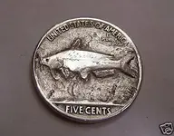 CATFISH.webp