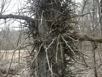 April 2009 002 (Small).webp