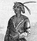 black seminole john horse.webp