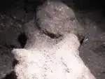 M05E0XCAZR9QY4CAUBM5YTCA1H3G9TCAZKJERXCAZV0NVDCATDV62GCAUKRIRNCA96V8X9CAT3BYZ5CA7HSTOYCAM3VZD...webp