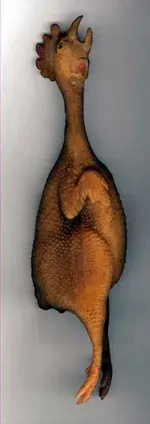 rubber chicken.webp