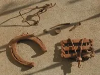 dugout finds.webp