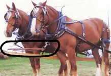 farmharness.webp