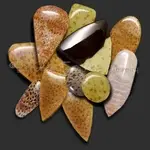 palm-collage.webp