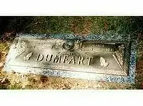 dumfart.webp