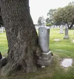 tombstone1.webp