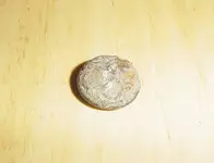 DSC01268.webp
