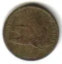 flyting eagle.webp