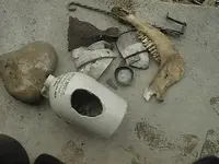 SMJunk and Horse jawbone.webp