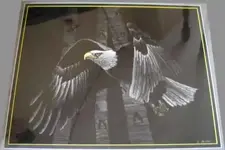 eagle fin. 7-2005.webp