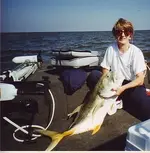 Fish.webp