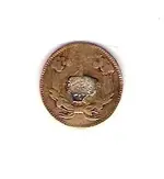 Gold coin back.webp