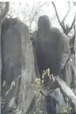 LFPbdw.webp