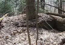 cellernear ridge.webp