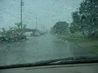 rain 001.webp