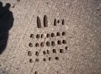 bullets.webp