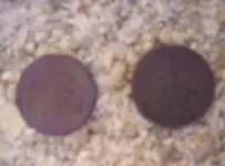 coins2.webp