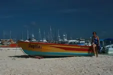 Panga1.webp