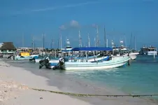 The boats1.webp