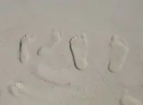 Our footprints in Mexico.webp