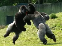 Most-Badass-Picture-World-Its-Not-Subjective-It_500x500.webp