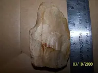 100_0445.webp