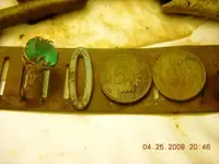 ringihpin wheats.webp