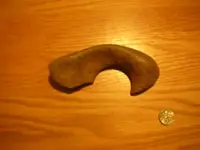 DSCN0666.webp