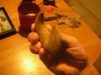 DSCN0667.webp