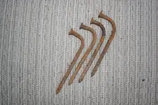 IMG_1740.webp
