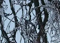 allens coin shots 001.webp