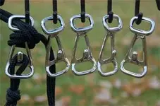 horse halters.webp horse halters.webp