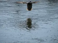 canal 036.webp