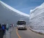 9befe9025f83426a.webp