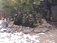 009.webp