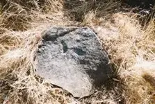 11237.webp 11237.webp