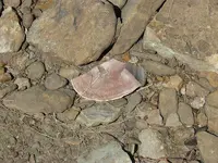 P1060648.webp