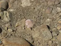 P1060649.webp