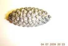 coins 014.webp