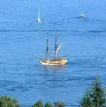tallship2.webp