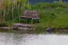 no  I don\'t wanna sit.webp