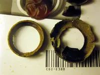 copperrings.webp