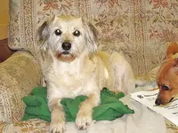 DSC00033.webp