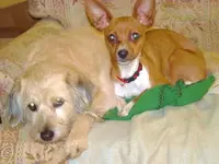 DSC00029.webp