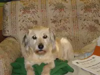 DSC00035.webp
