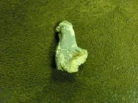 DSCN0596.webp