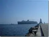 thumbnail.webp